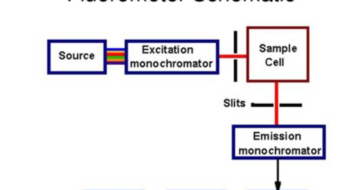 How Does a Fluorometer Work?