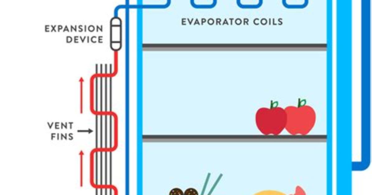 How Does a Fridge Work Without a Compressor