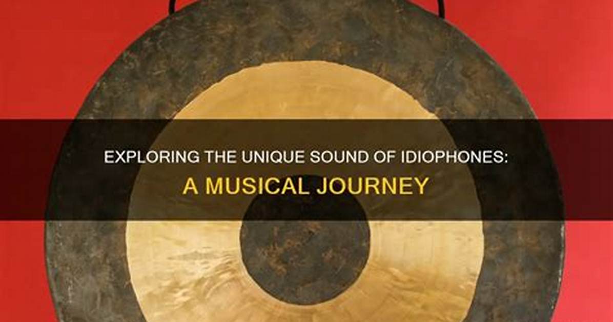 How Does a Idiophone Work?