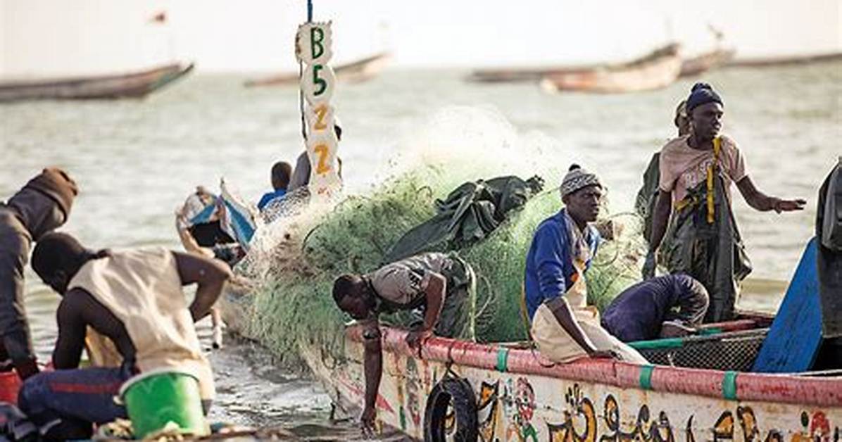 How Does a Pirogue Work?