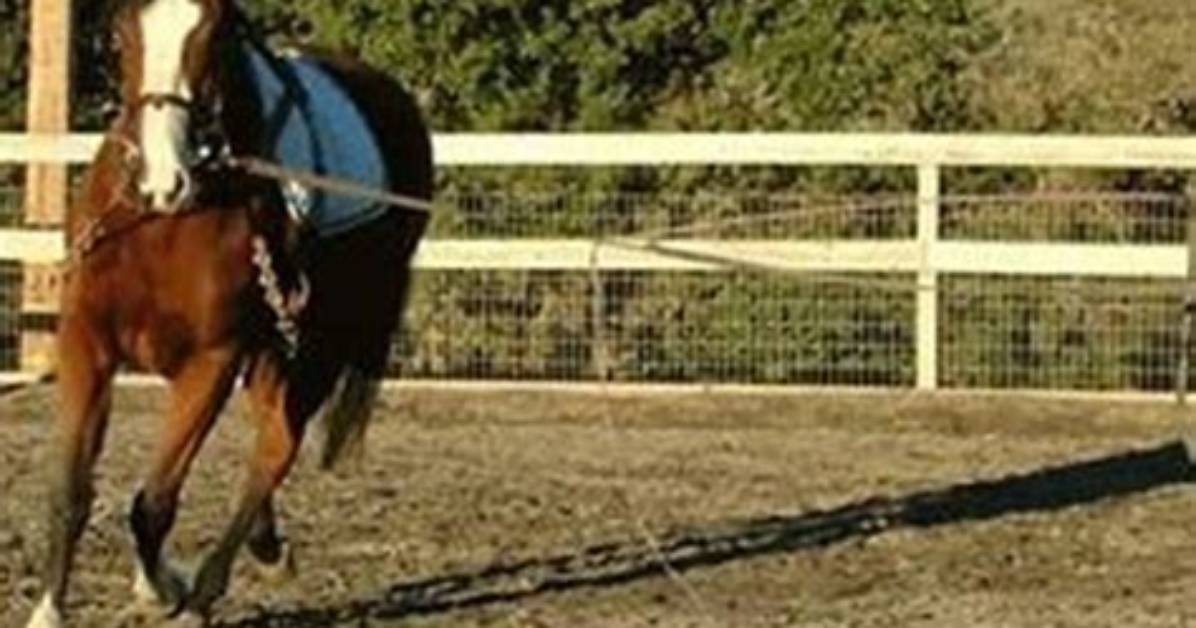 How Does a Running Double Work?