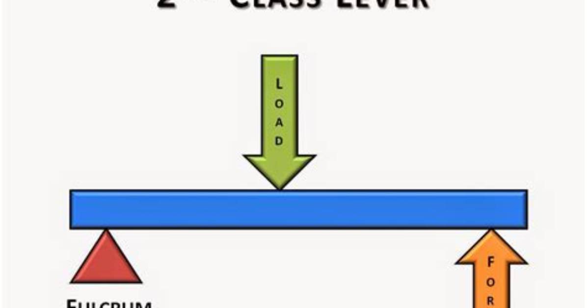 How Does a Second Class Lever Work