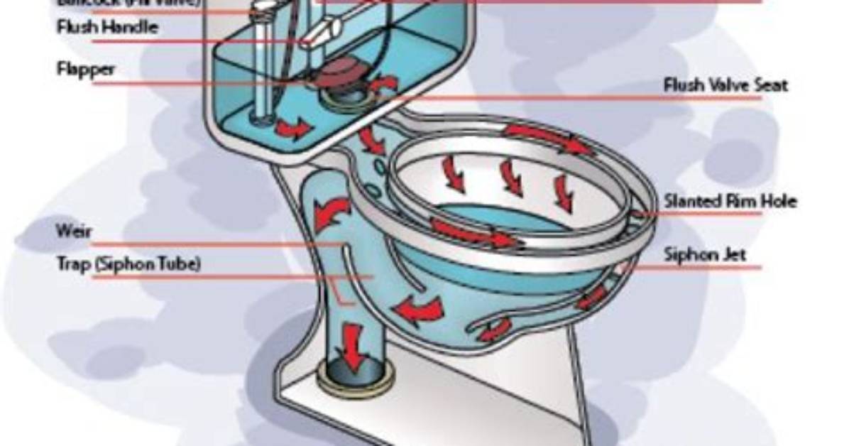 How Does a Siphonic Toilet Work?