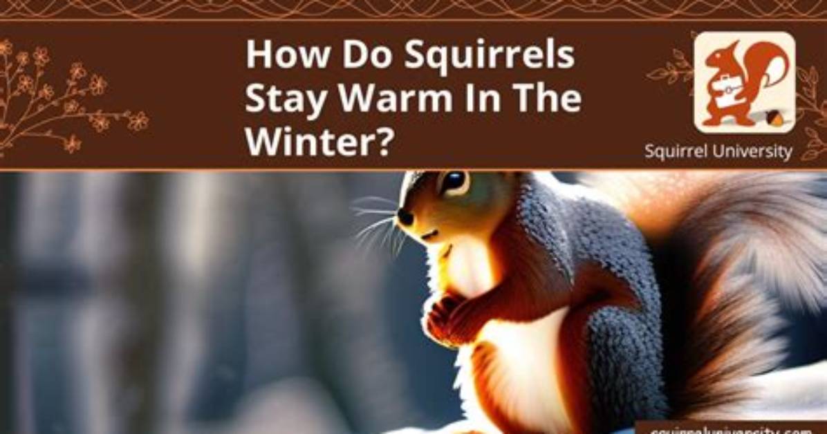 How Does a Squirrel Stay Warm in the Winter