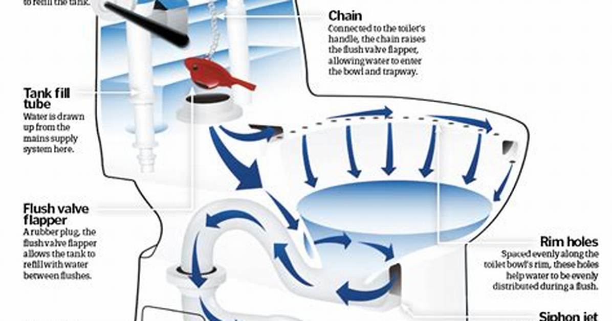 How Does a Toilet Actually Work