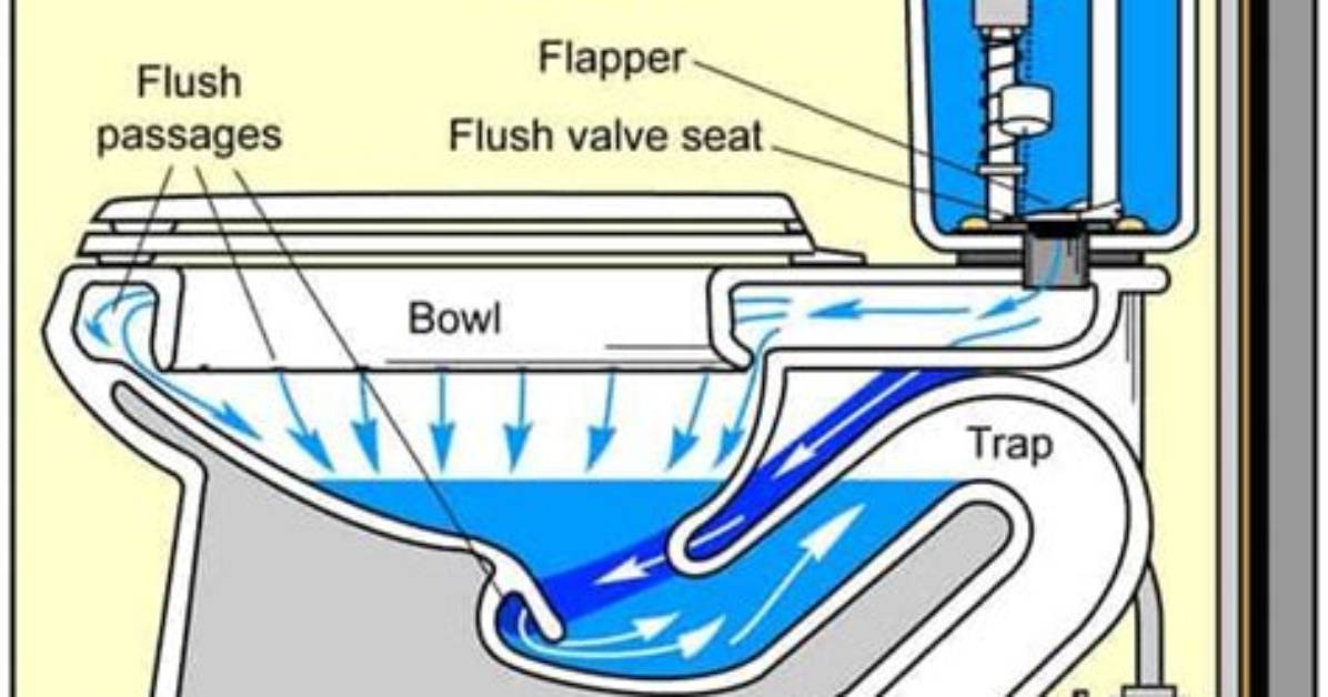 How Does a Toilet S Bend Work?