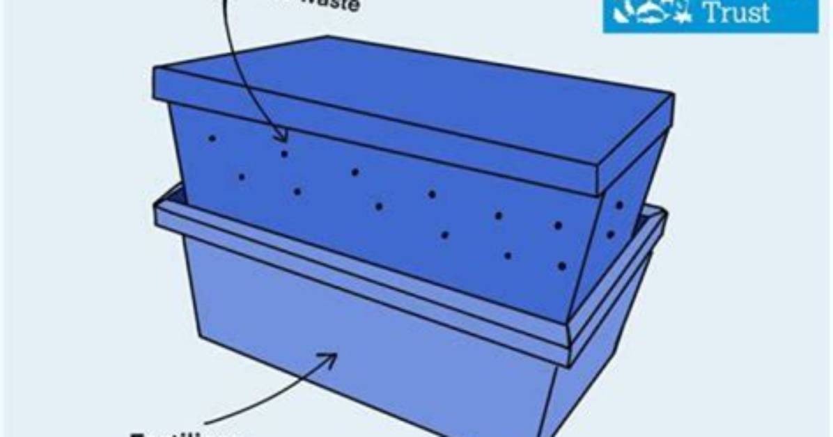 How Does a Worm Composter Work