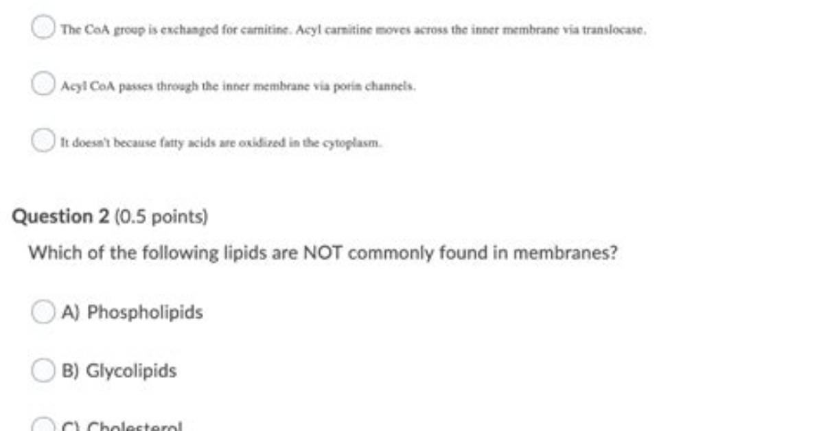 How Does Acyl-Coa Get Across the Inner Mitochondrial Membrane