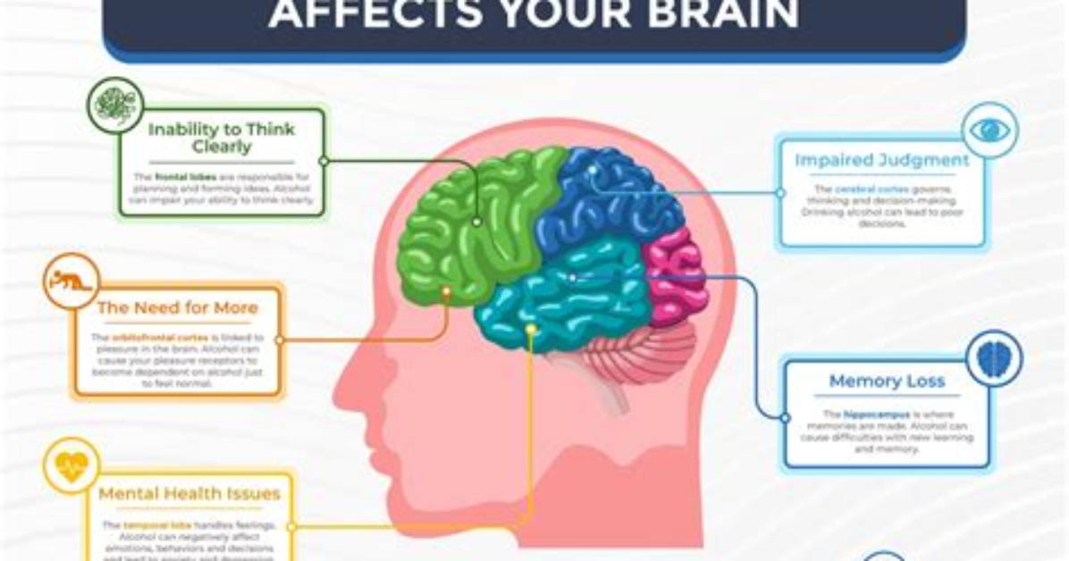 How Does Alcohol Affect the Frontal Lobe?