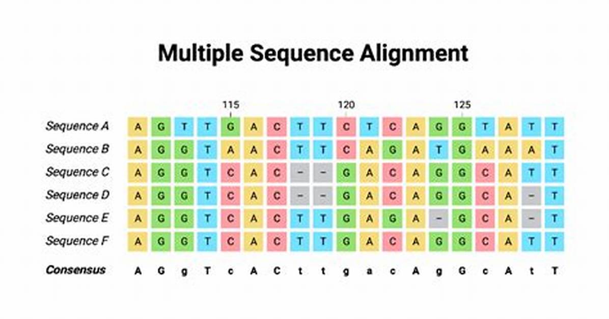 How Does Aligning Sequences Work?