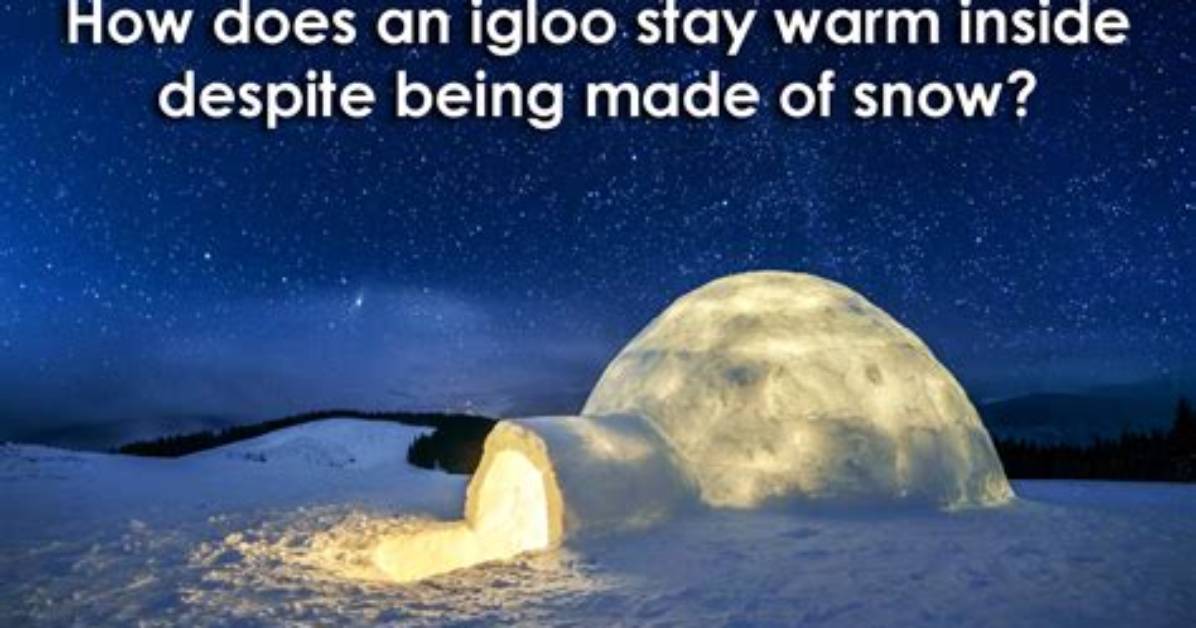 How Does an Igloo Stay Warm