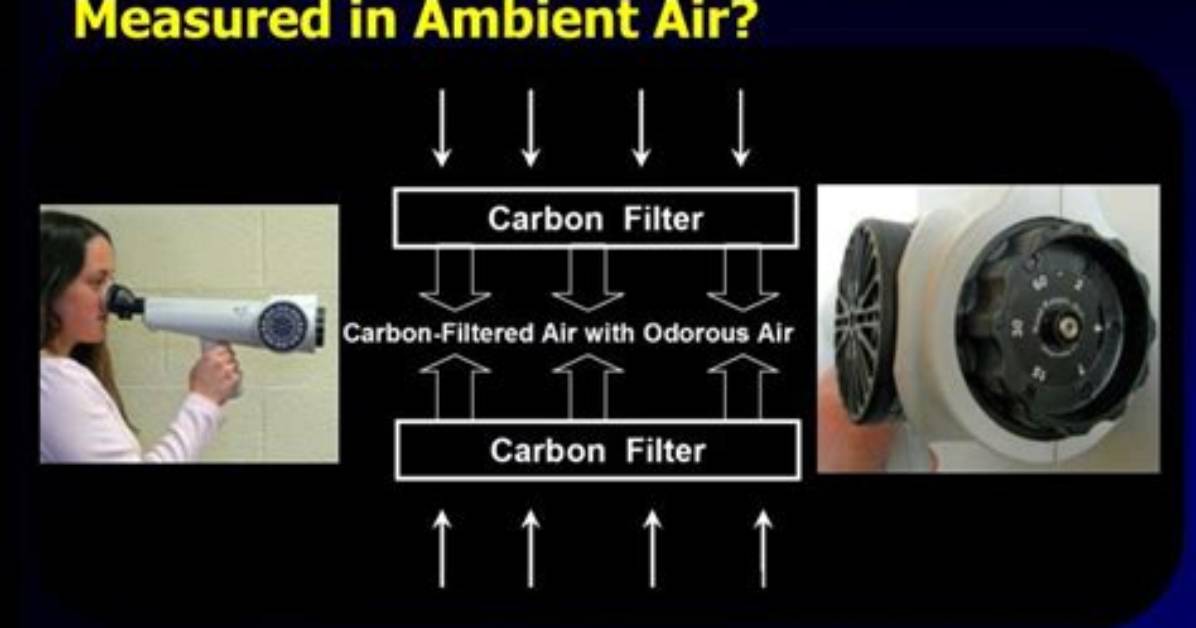 How Does an Olfactometer Work?