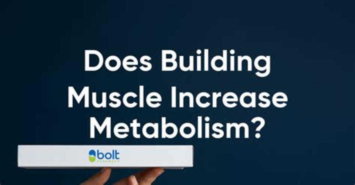 How Does Building Muscle Increase Metabolism?