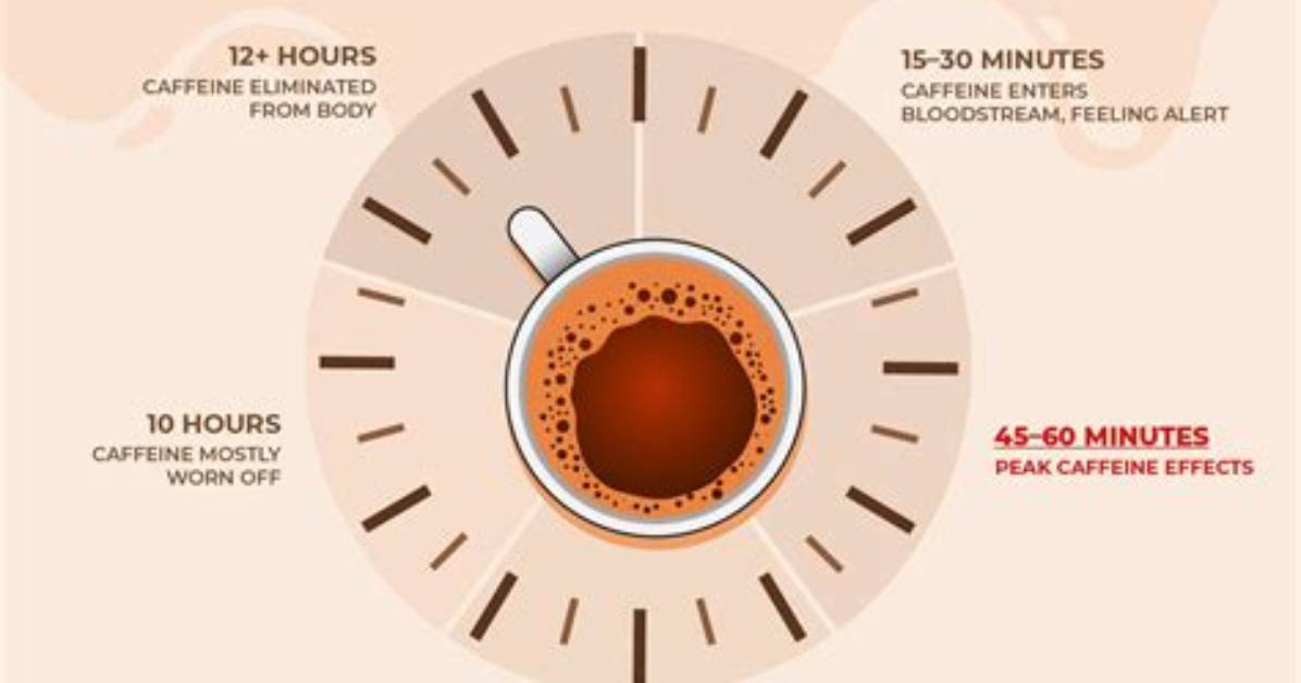 How Does Caffeine Make You Awake