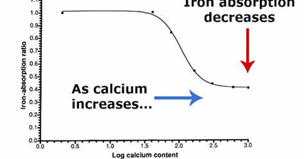 How Does Calcium Inhibit Iron Absorption?