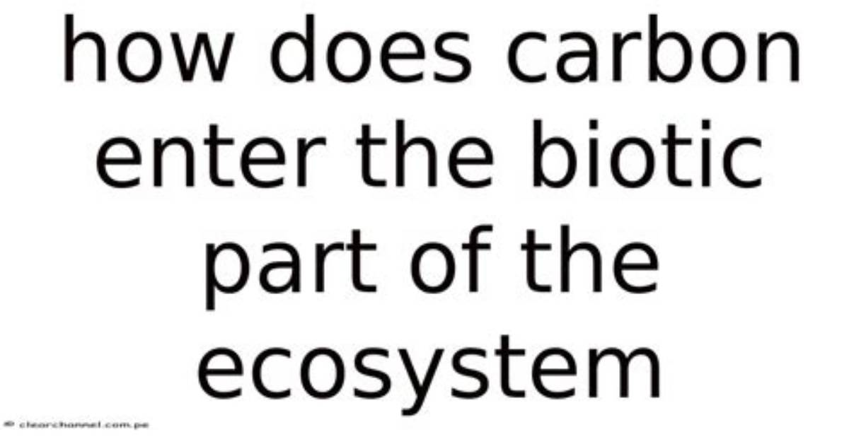How Does Carbon Become Part of Living Organisms