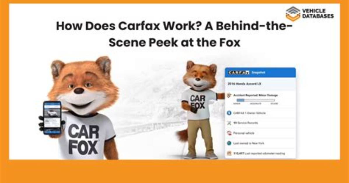 How Does Carfax Work