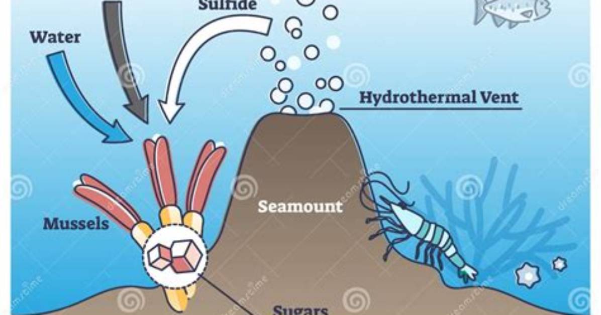 How Does Chemosynthesis Work?