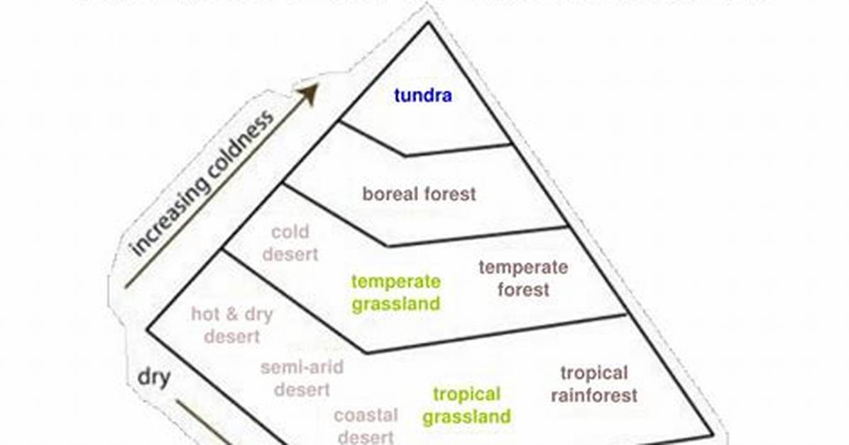 How Does Climate Influence Biomes