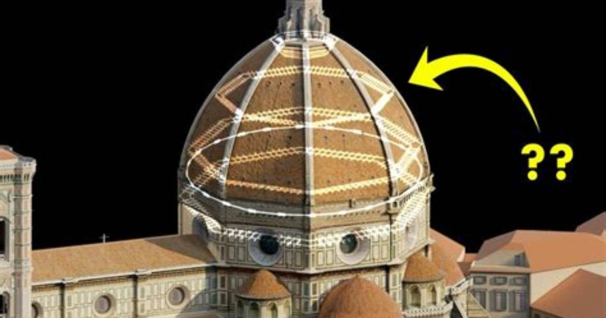 How Does Cupula Work?