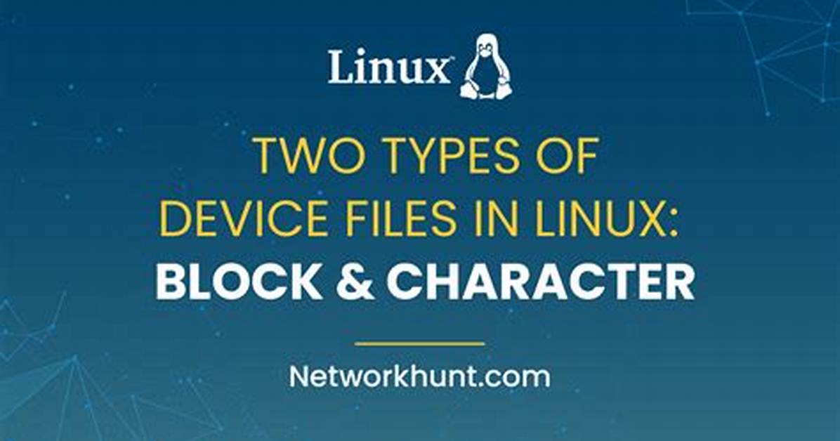 How Does Device Presented in Linux?
