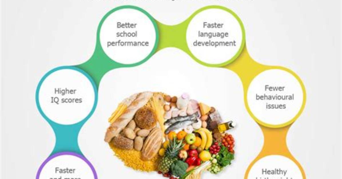 How Does Diet Affect Brain Development