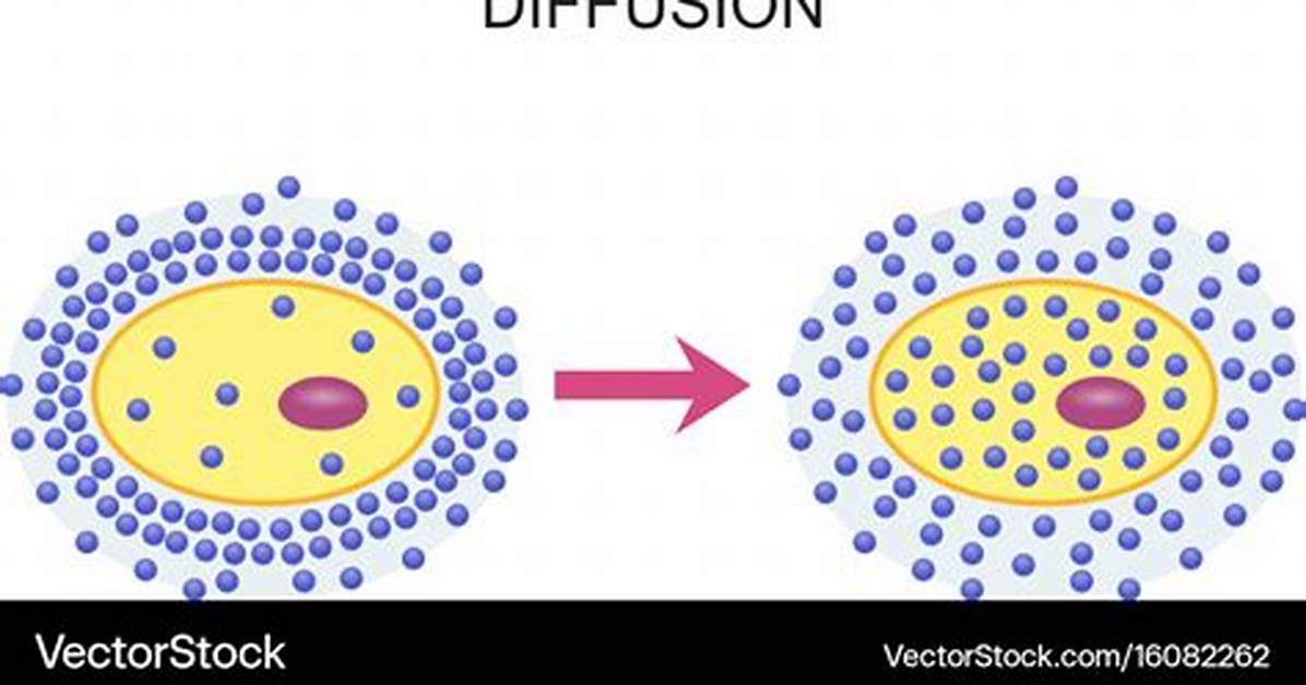 How Does Diffusion Work?