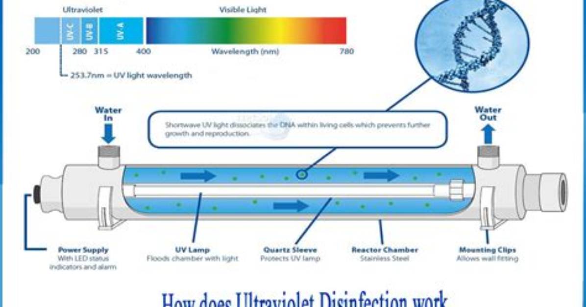 How Does Disinfection Work?