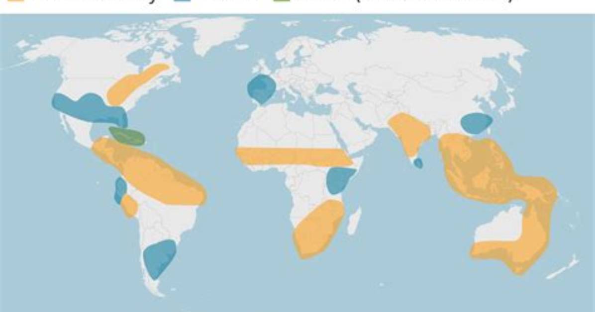 How Does El Nino Affect Us