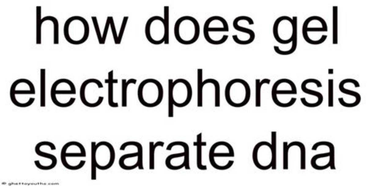 How Does Electrophoresis Separate