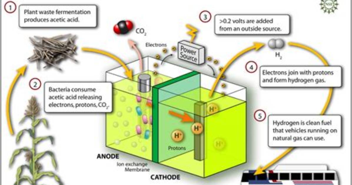 How Does Electrosynthesis Work?