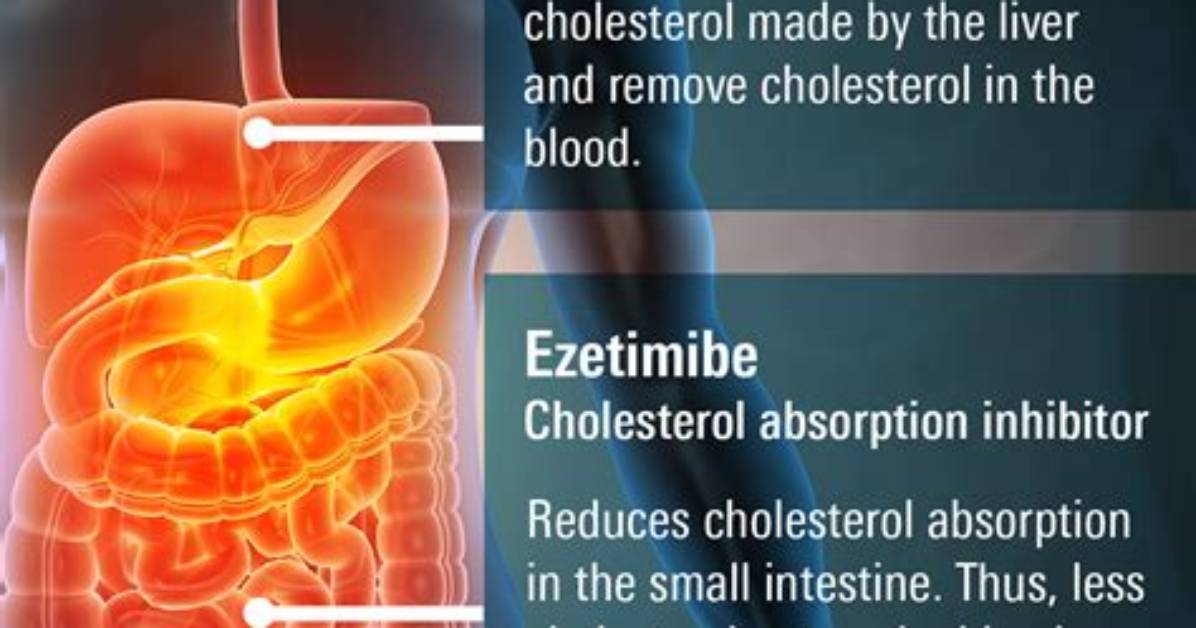 How Does Ezetimibe Work in the Body