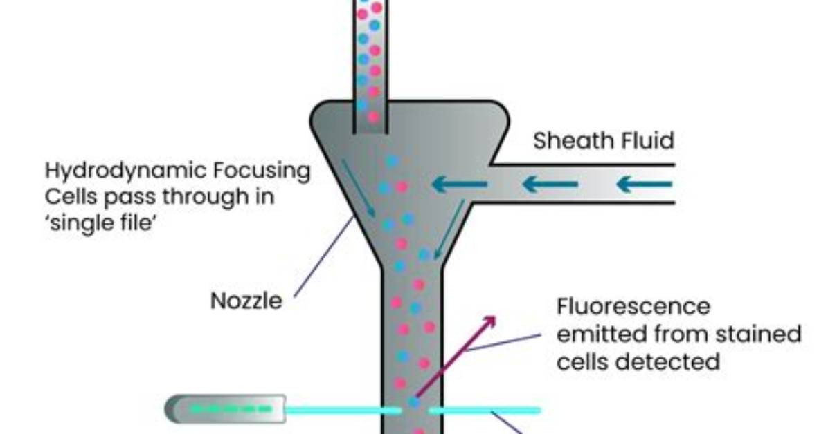How Does Fluidics Work?