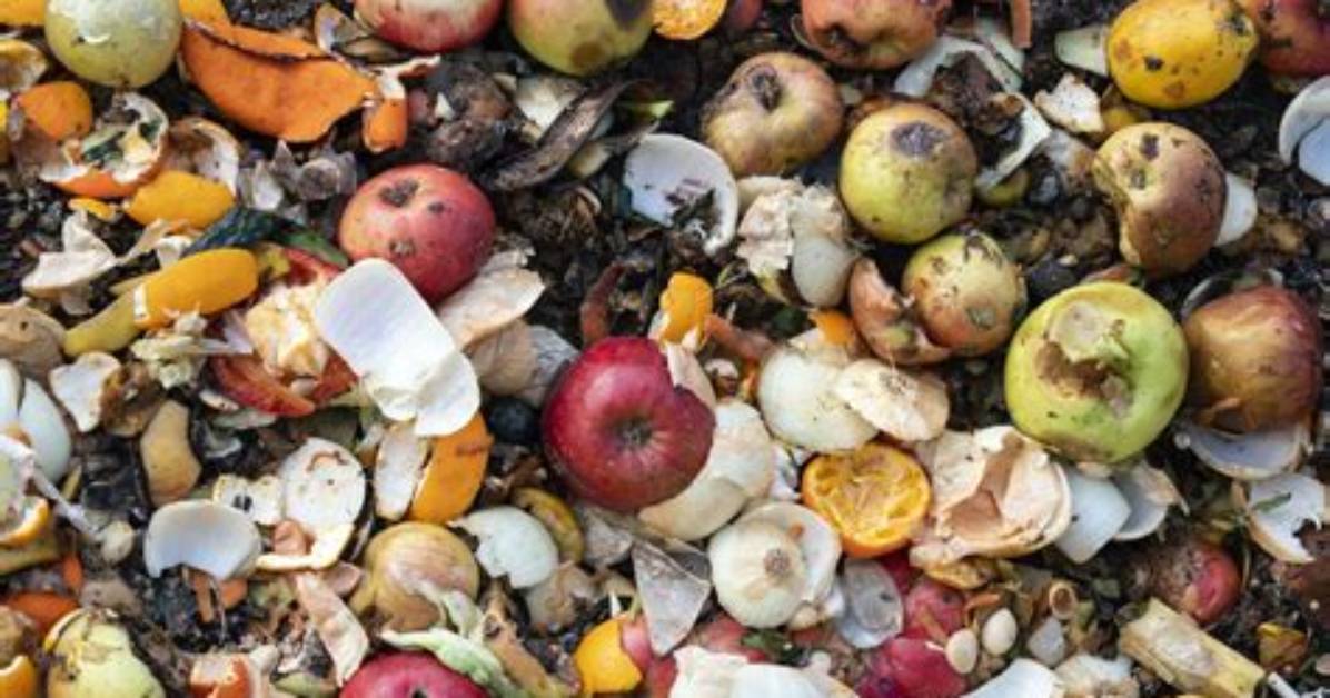 How Does Food Waste Affect Animals?