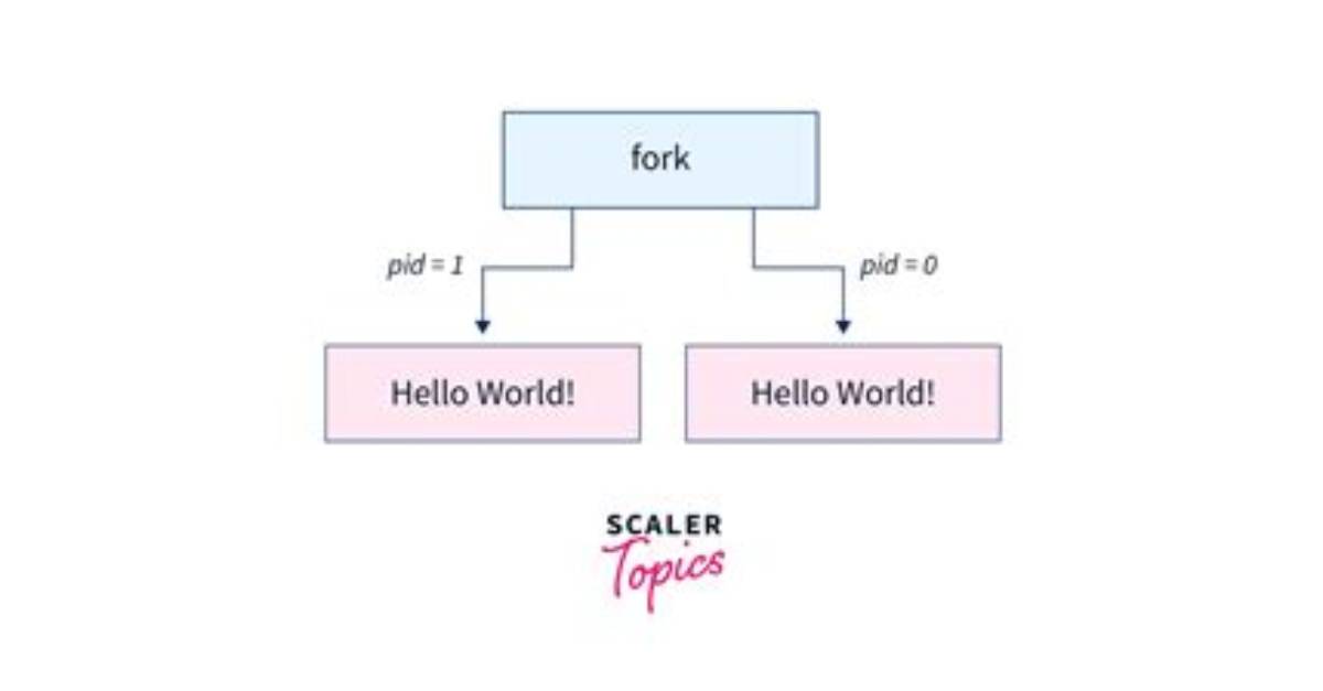 How Does Fork Work in Unix?
