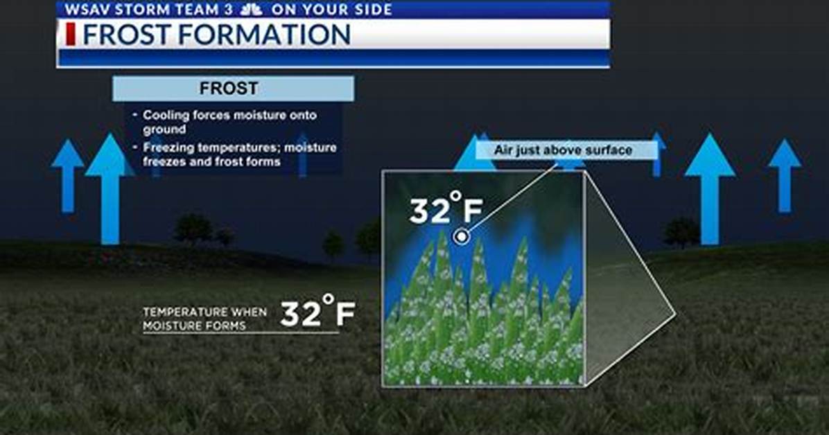 How Does Frost Occur - Lisbd-Net. Com