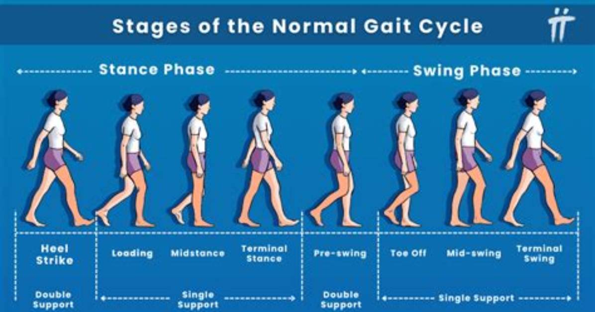 How Does Gait Change with Age