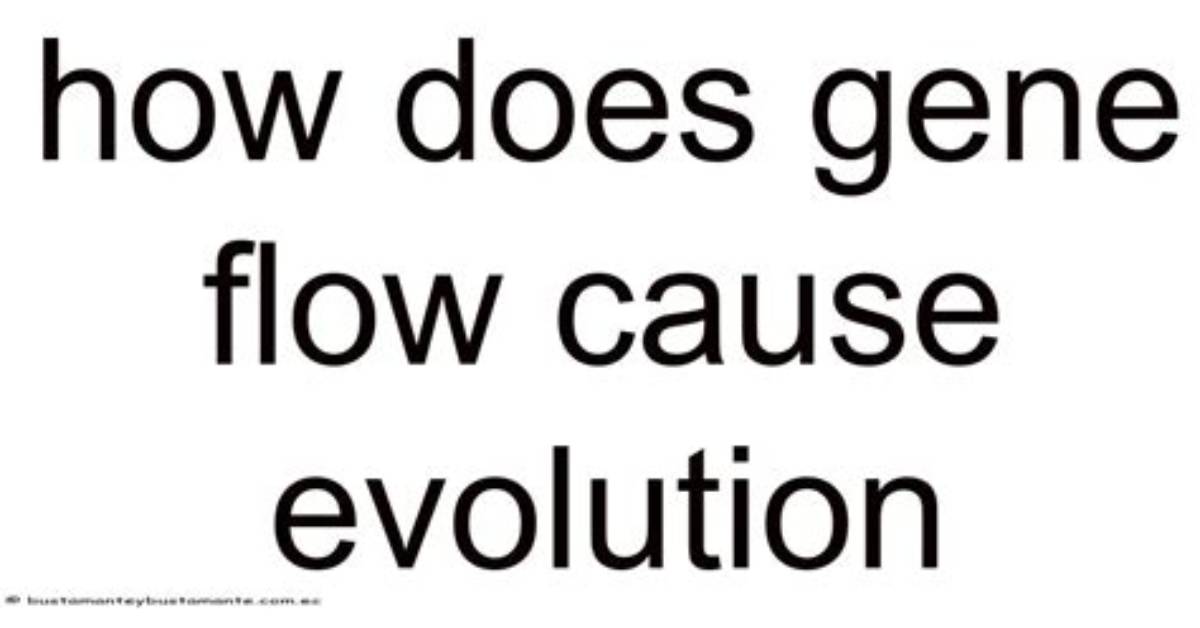 How Does Gene Flow Cause Evolution
