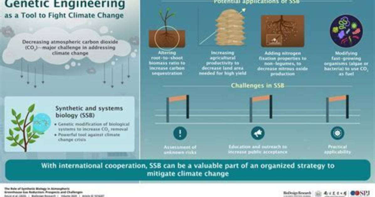 How Does Genetic Engineering Affect the Environment