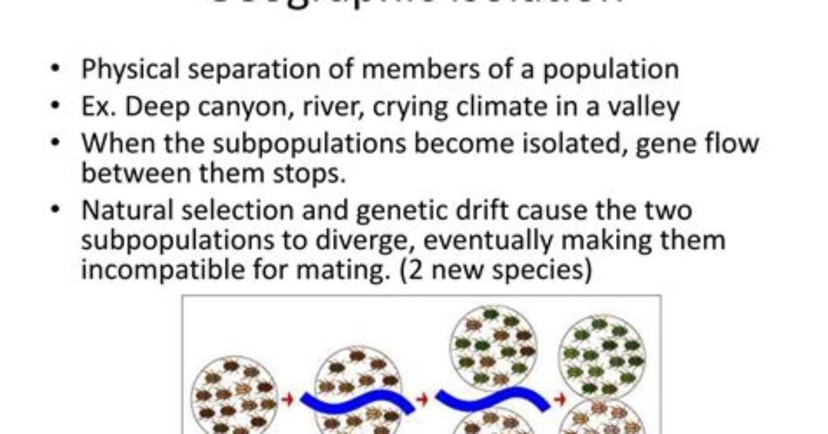 How Does Geographic Isolation Contribute to Speciation Quizlet