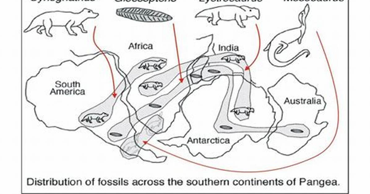 How Does Glossopteris Support Continental Drift?