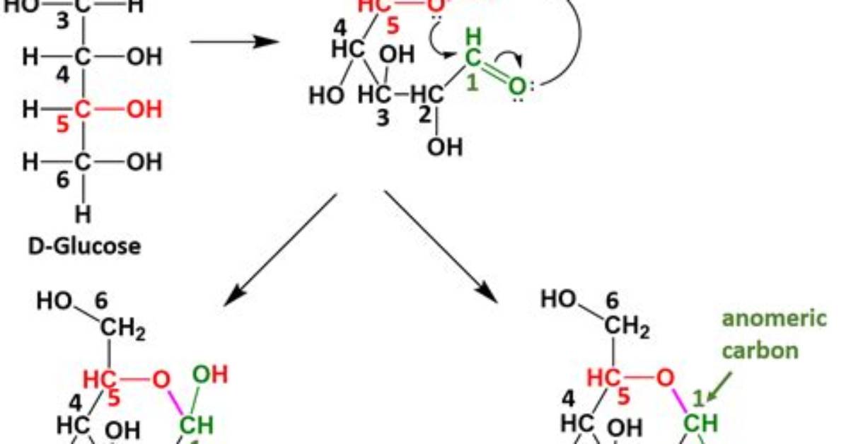 How Does Glucose Cyclize