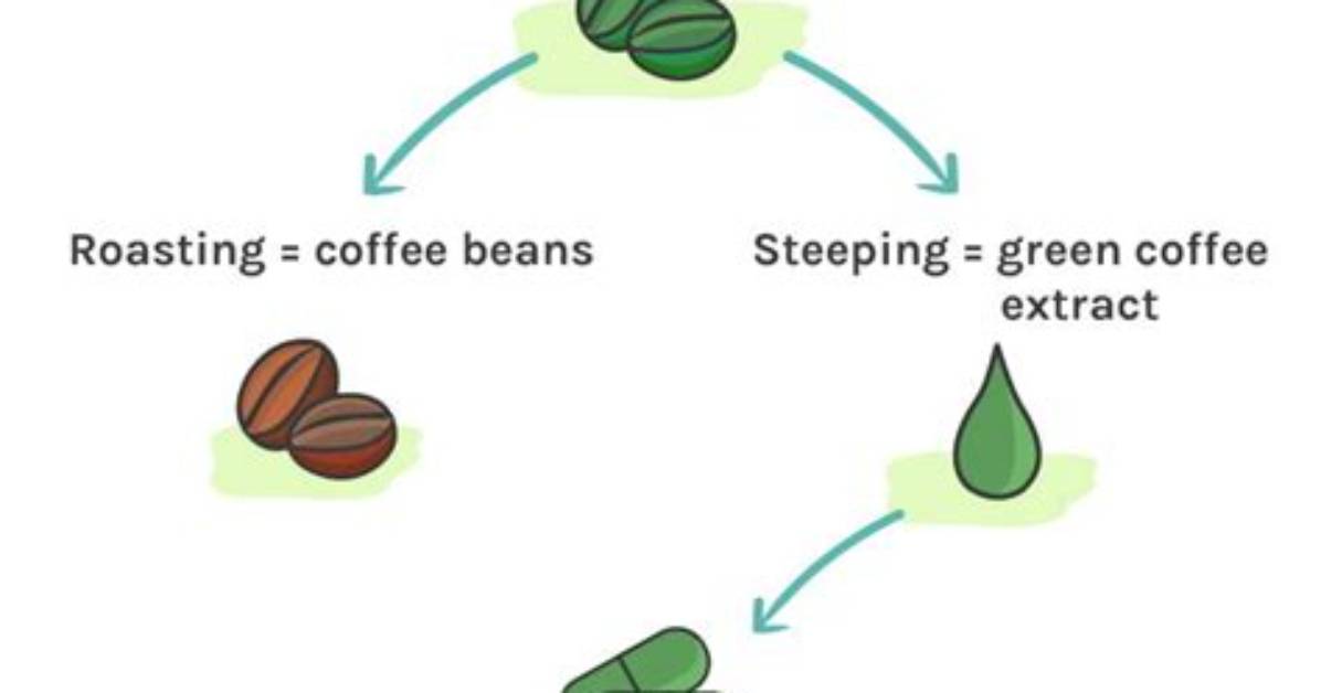 How Does Green Coffee Bean Extract Work
