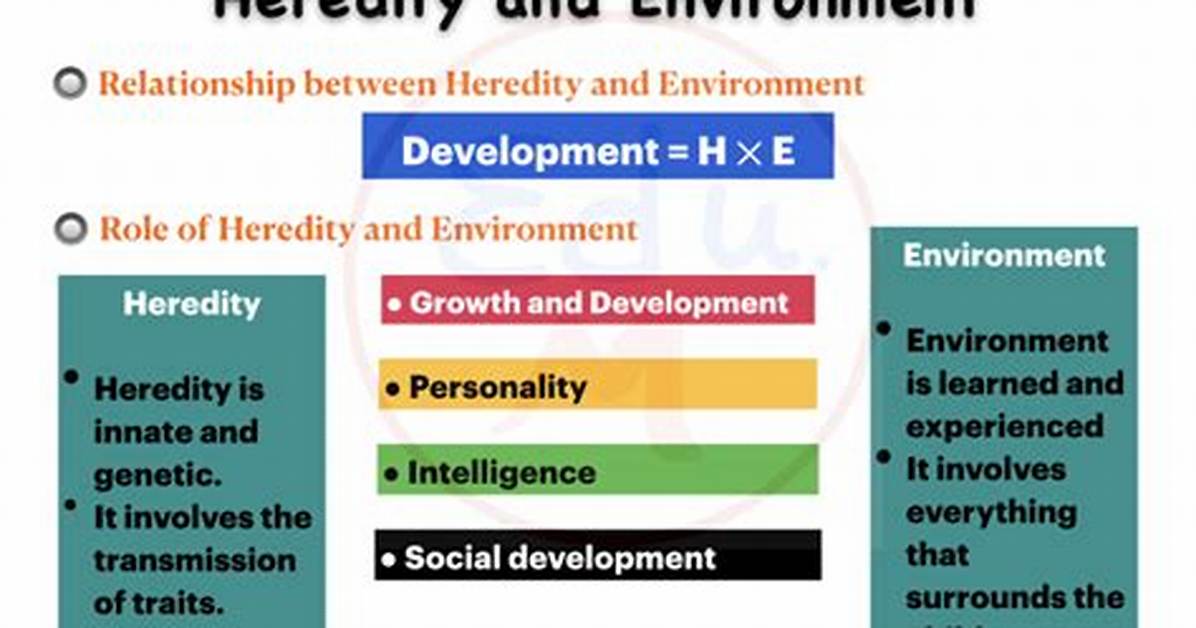 How Does Heredity and Environment Affect Development