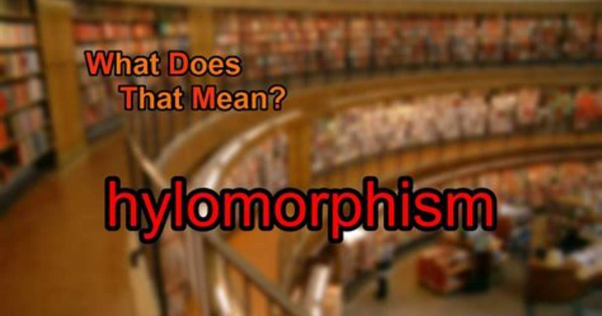 How Does Hylomorphism Work?