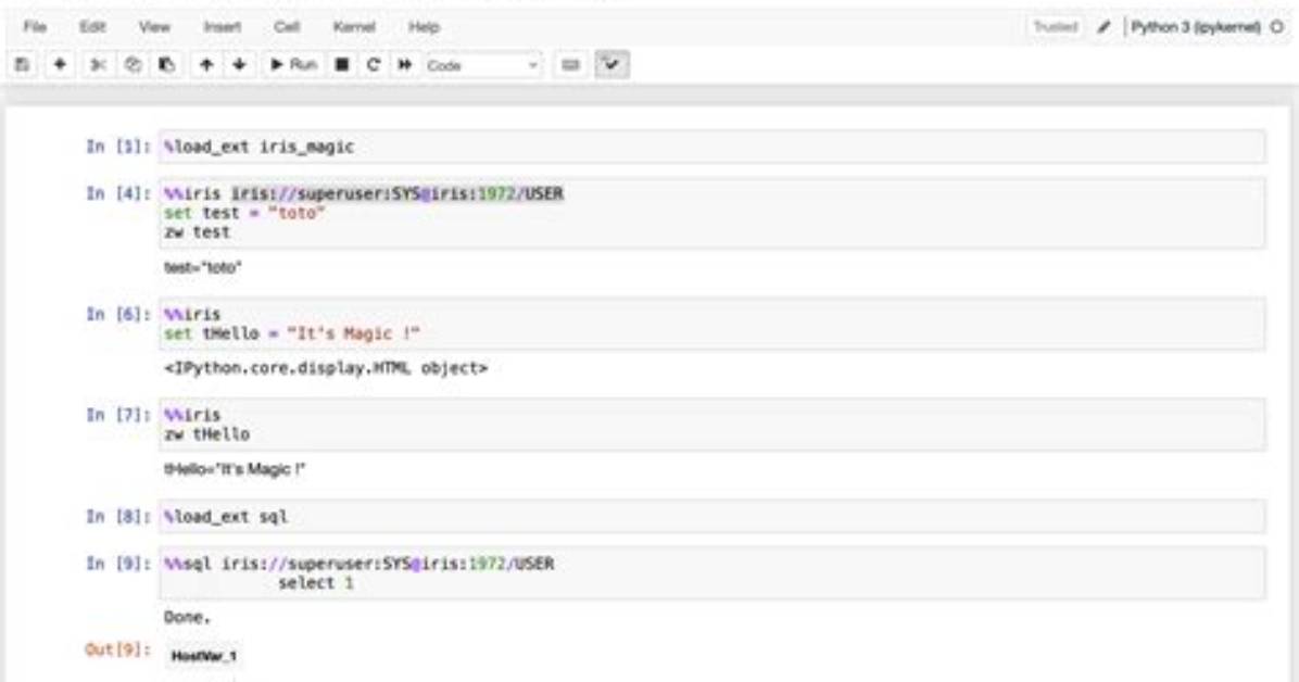 How Does Ipython's Magic %Paste Work?