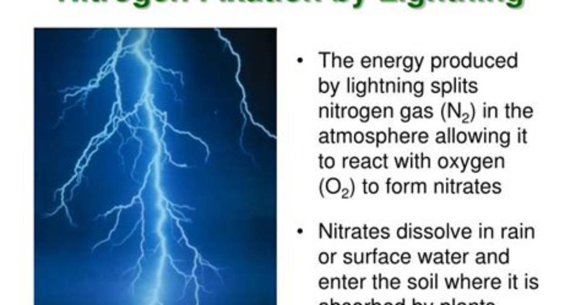 How Does Lightning Fix Nitrogen in the Atmosphere