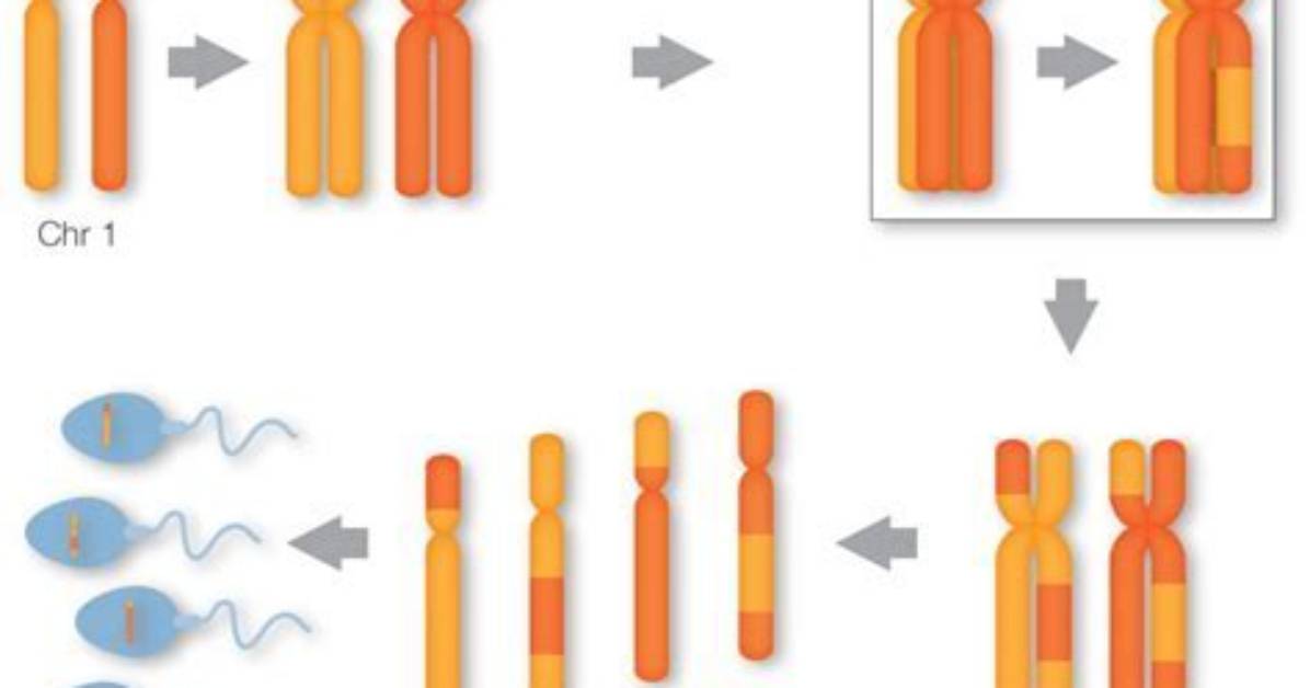 How Does Linkage Occur