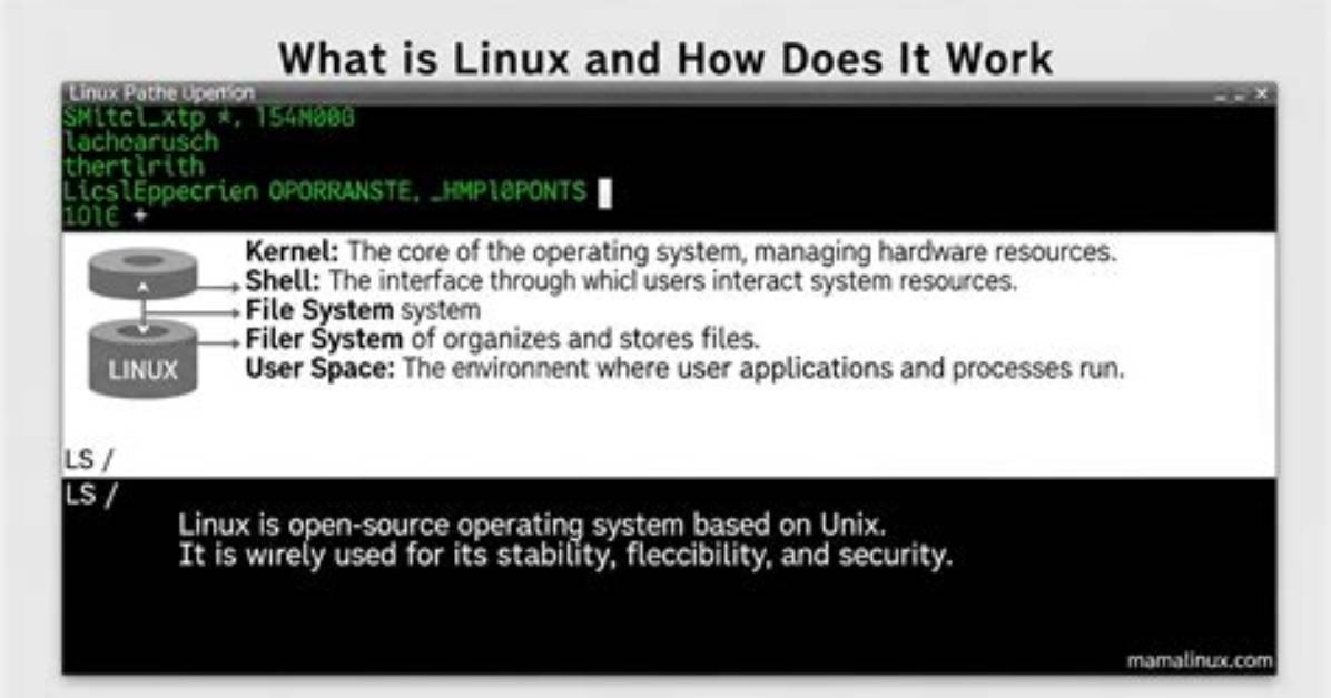 How Does Linux Shell Work?
