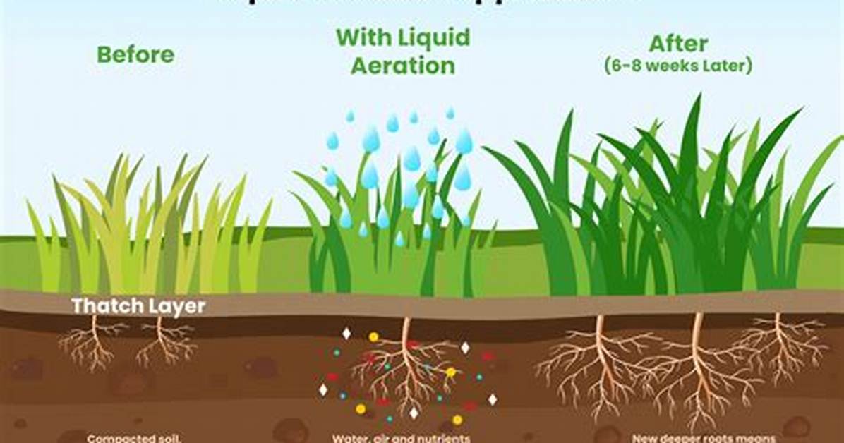 How Does Liquid Aeration Work
